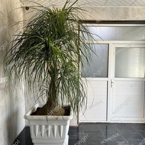 لیندا 45 ساله