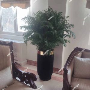 خرید گلدان لوکس شامادورا