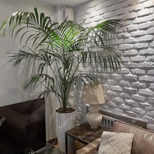 اریکا سایز بزرگ