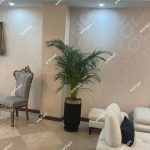 خرید اریکا بزرگ