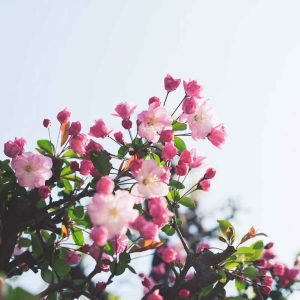 Untitled-2