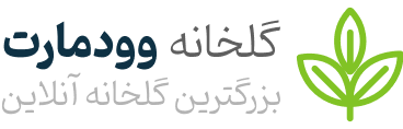 صبح گل | گل فروشی آنلاین