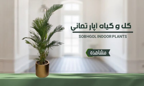 فروشگاه