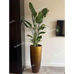 خرید گل دکوراتیو