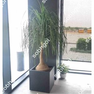 خرید گل دکوراتیو لیندا