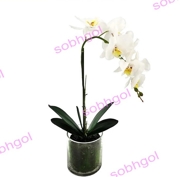 گل ارکیده تک شاخه ORK15
