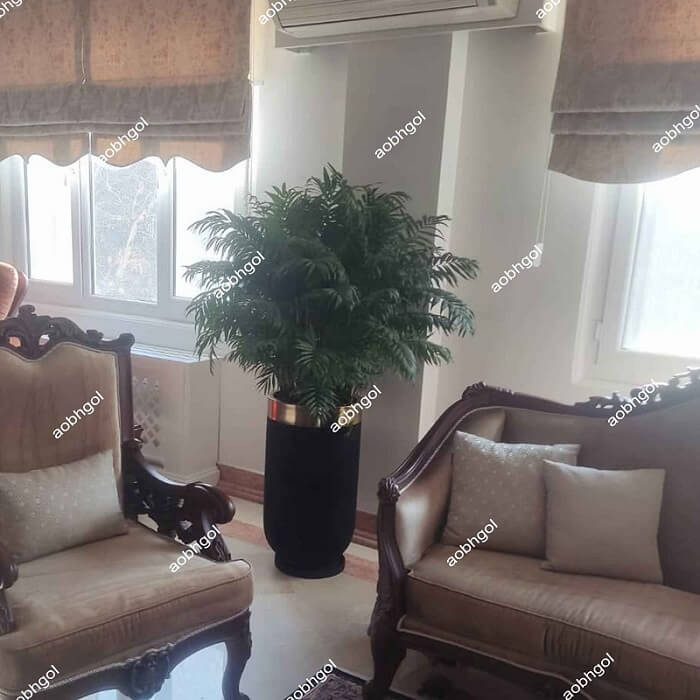 sobhgolplants (3) خرید گلدان لوکس شامادورا