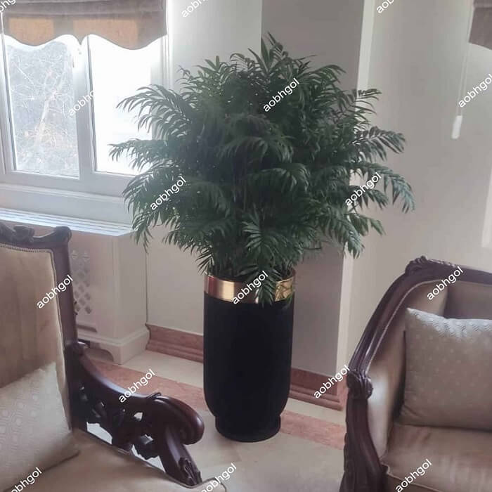 sobhgolplants (4) خرید گلدان لوکس شامادورا