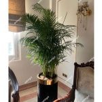 خرید گل لوکس اریکا