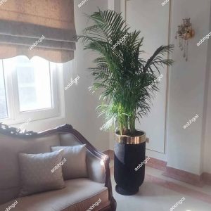 خرید گل لوکس اریکا
