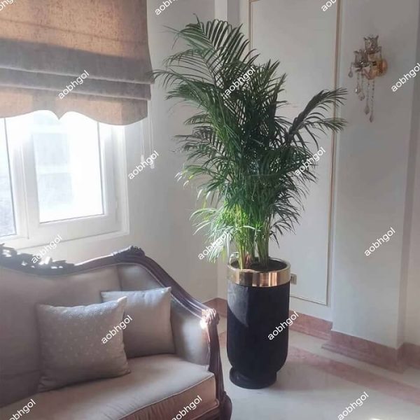 خرید گل لوکس اریکا
