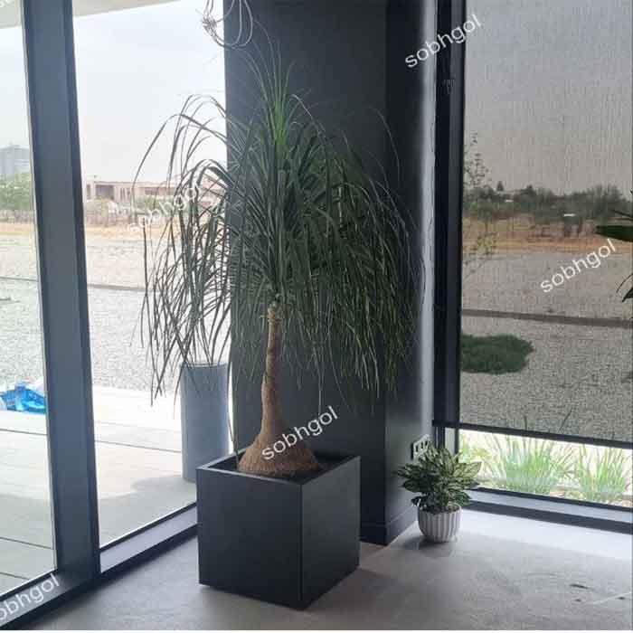 گلدان لیندا