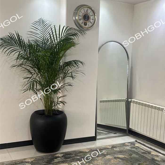 گلدان اریکا