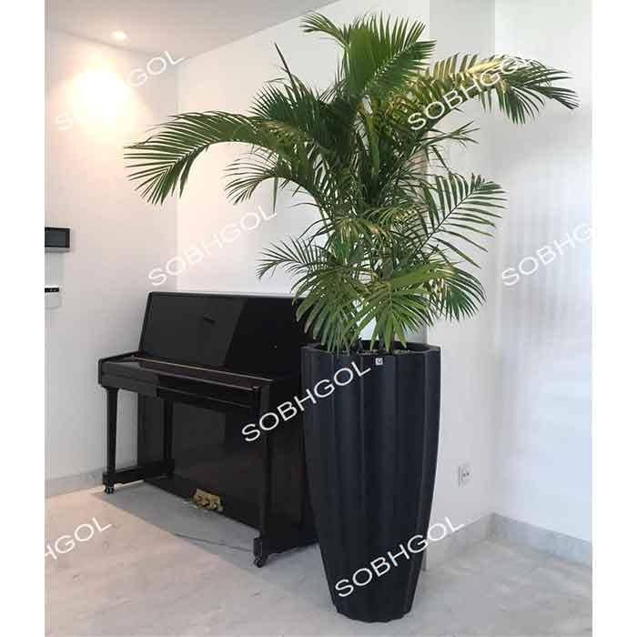 گلدان لوکس اریکا