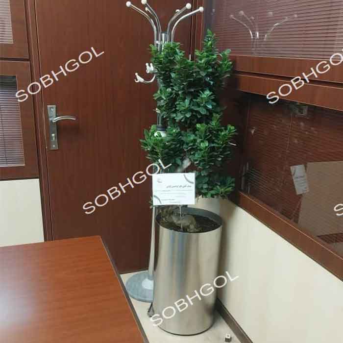 بونسای طرح اس