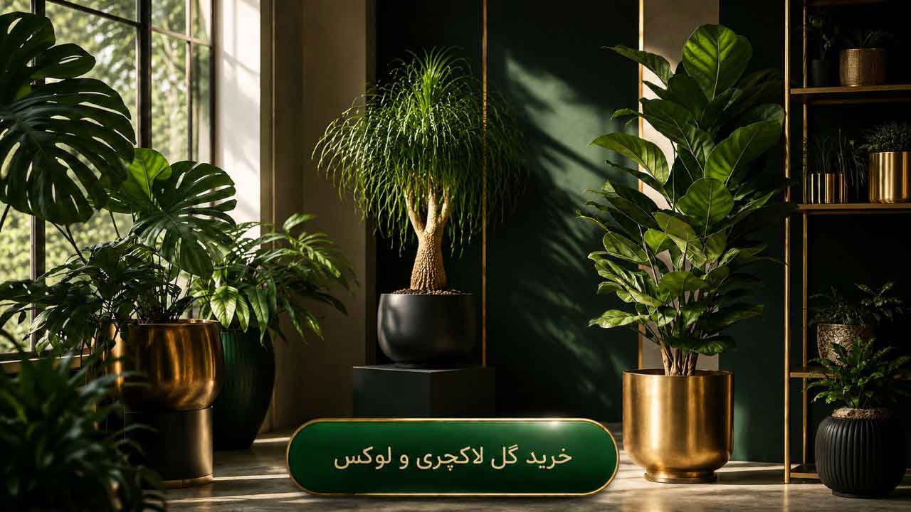 خرید گل لوکس و لاکچری