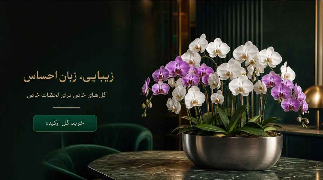 خرید و قیمت گل ارکیده